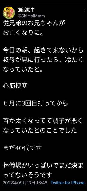 o1061233015216539209.jpg