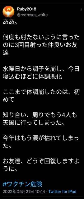o1062250915216540393.jpg
